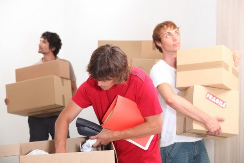 Ruislip moving support for boxes and furniture transport