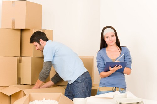 Risk assessment planning for a man with a van move in Ruislip